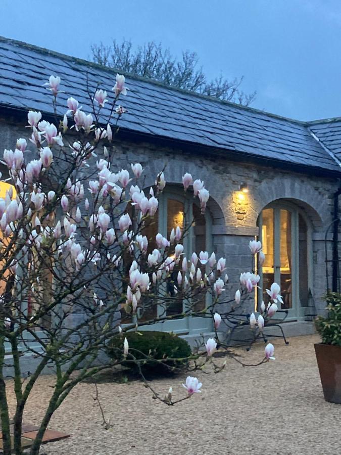 The Garden Rooms At The Courtyard,Townley Hall Ντρογκέδα Εξωτερικό φωτογραφία