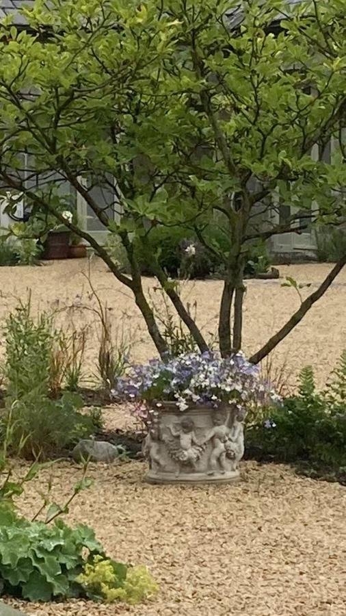 The Garden Rooms At The Courtyard,Townley Hall Ντρογκέδα Εξωτερικό φωτογραφία
